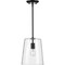 Progress Lighting Clarion Collection Black One-Light Small Pendant P500241-031 - alternate 2